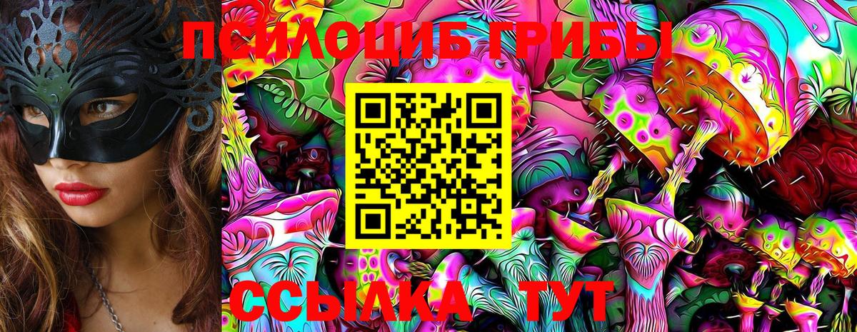 Котовск  Галлюциногенные грибы мухоморы  Вход с VPN 